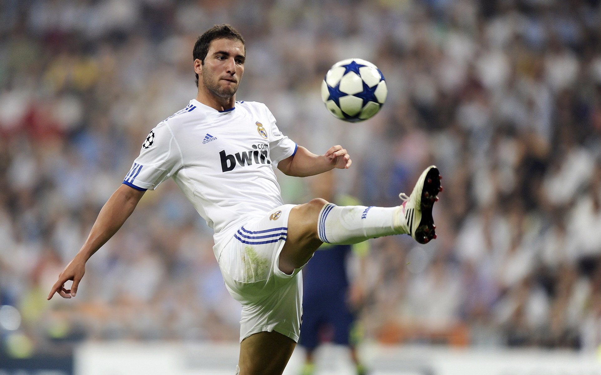 基层教练资源分配未形成统筹机制