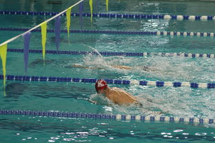 九游体育APP下载-张雨霏自由泳接力助队夺冠，张雨霏自由泳接力助队夺冠了吗